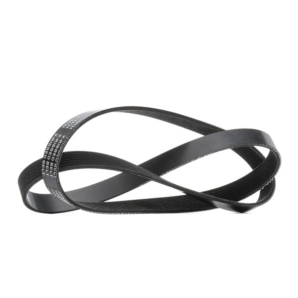 V-Ribbed Belt RIDEX 305P0561 305P0561 - photo 1