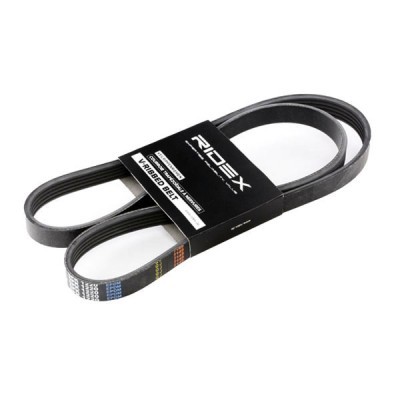 V-Ribbed Belt RIDEX 305P0038 305P0038 - photo 2