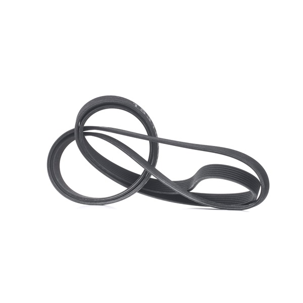 V-Ribbed Belt RIDEX 305P0459 305P0459 - photo 1
