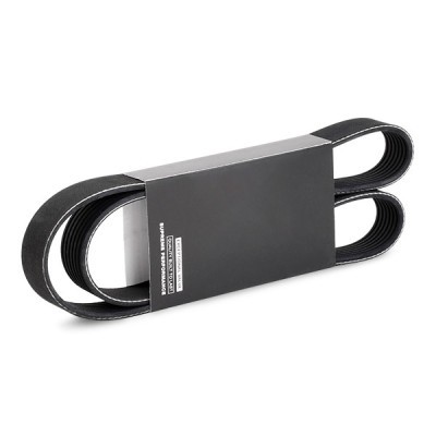 V-Ribbed Belt RIDEX 305P0489 305P0489 - photo 2