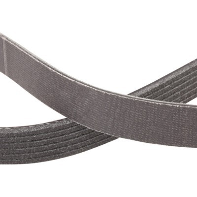 V-Ribbed Belt RIDEX 305P0101P 305P0101P - photo 5