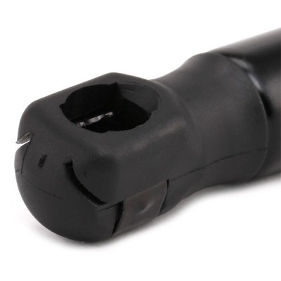 Bonnet  Gas Spring RIDEX 514G0089 514G0089 - photo 5