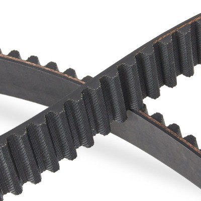 Timing Belt RIDEX 306T0063P 306T0063P - photo 5