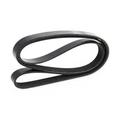 V-Ribbed Belt RIDEX 305P0081 305P0081 - photo 4