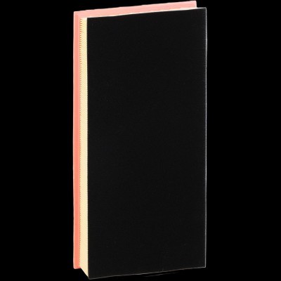 Air Filter RIDEX 8A1613 8A1613 - photo 5