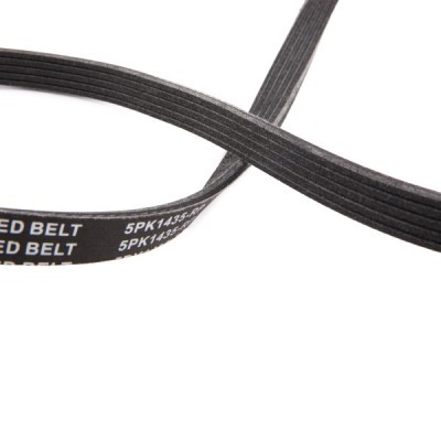V-Ribbed Belt RIDEX 305P0040P 305P0040P - photo 6