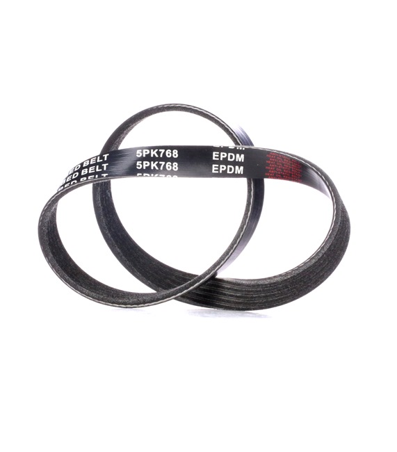 V-Ribbed Belt RIDEX 305P0251 305P0251 - photo 1
