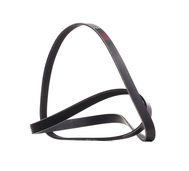 V-Ribbed Belt RIDEX 305P0181P 305P0181P - photo 1