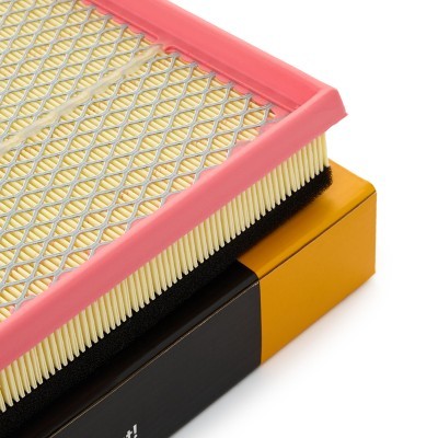 Air Filter RIDEX 8A1099 8A1099 - photo 4