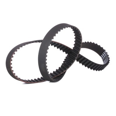 Timing Belt RIDEX 306T0100 306T0100 - photo 3