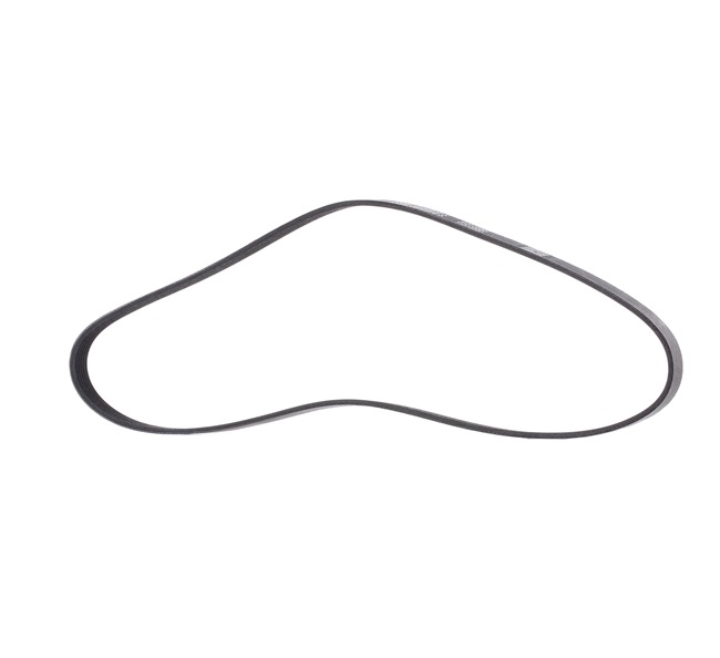 V-Ribbed Belt RIDEX 305P0065P 305P0065P - photo 1