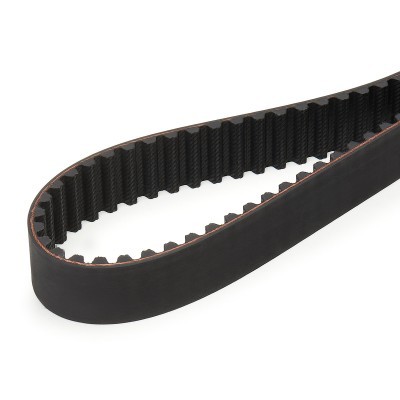 Timing Belt RIDEX 306T0176 306T0176 - photo 4