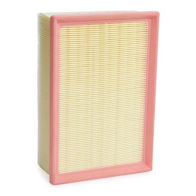 Air Filter RIDEX 8A1305 8A1305 - photo 3