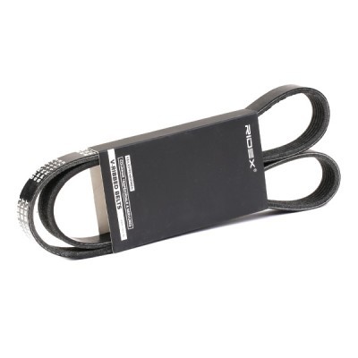 V-Ribbed Belt RIDEX 305P0242 305P0242 - photo 2