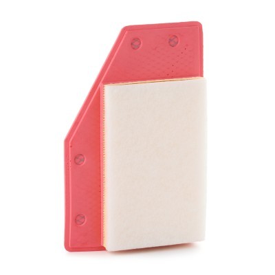 Air Filter RIDEX 8A1176 8A1176 - photo 3