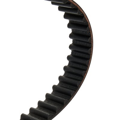 Timing Belt RIDEX 306T0255P 306T0255P - photo 4