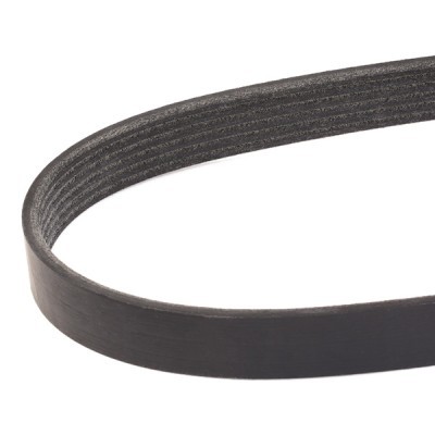V-Ribbed Belt RIDEX 305P0216 305P0216 - photo 3