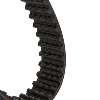 Timing Belt RIDEX 306T0029P 306T0029P - photo 5