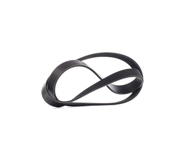 V-Ribbed Belt RIDEX 305P0451P 305P0451P - photo 1