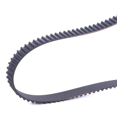 Timing Belt RIDEX 306T0309 306T0309 - photo 4