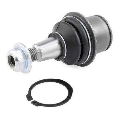 Ball Joint RIDEX 2462S0279 2462S0279 - photo 3