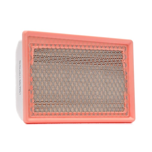 Air Filter RIDEX 8A1660 8A1660 - photo 1
