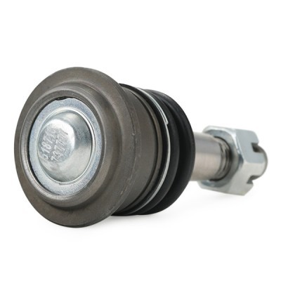 Ball Joint RIDEX 2462S0446 2462S0446 - photo 4