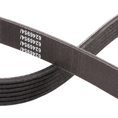 V-Ribbed Belt RIDEX 305P0080P 305P0080P - photo 5