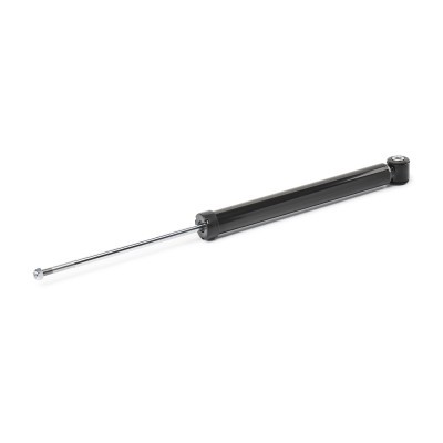 Shock Absorber RIDEX 854S1761 854S1761 - photo 4