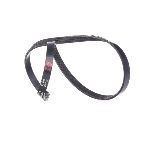 V-Ribbed Belt RIDEX 305P0187 305P0187 - photo 1