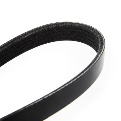 V-Ribbed Belt RIDEX 305P0156 305P0156 - photo 5