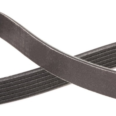 V-Ribbed Belt RIDEX 305P0146P 305P0146P - photo 5