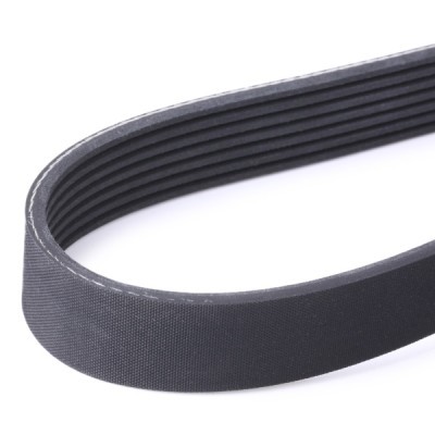 V-Ribbed Belt RIDEX 305P0507 305P0507 - photo 4