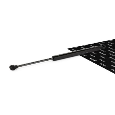 Bonnet  Gas Spring RIDEX 514G0108 514G0108 - photo 1