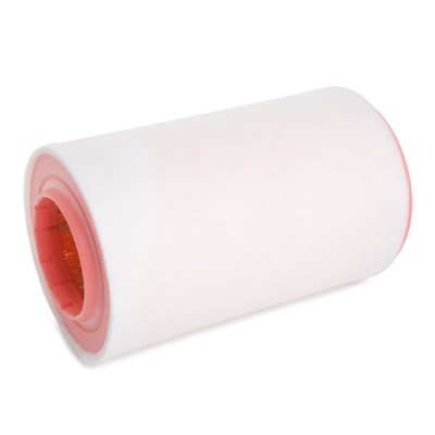 Air Filter RIDEX 8A1641 8A1641 - photo 4