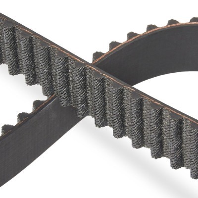 Timing Belt RIDEX 306T0009P 306T0009P - photo 5