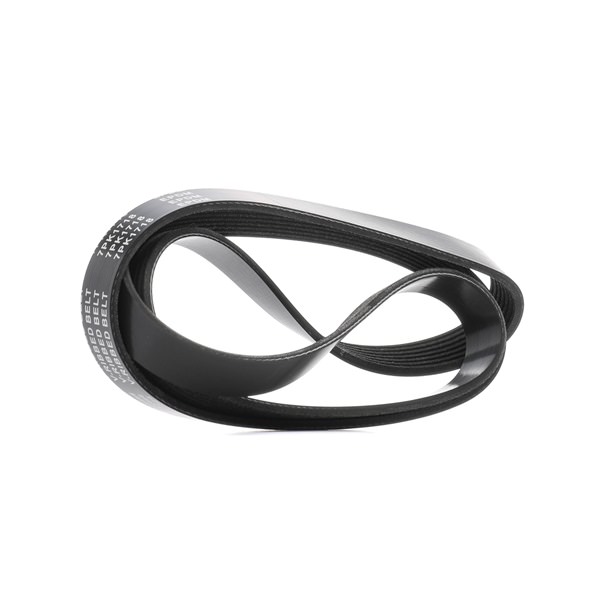 V-Ribbed Belt RIDEX 305P0454 305P0454 - photo 1