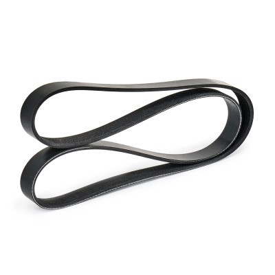 V-Ribbed Belt RIDEX 305P0179 305P0179 - photo 5