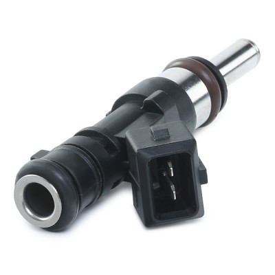 Injector (petrol) RIDEX 3905I0179 3905I0179 - photo 4