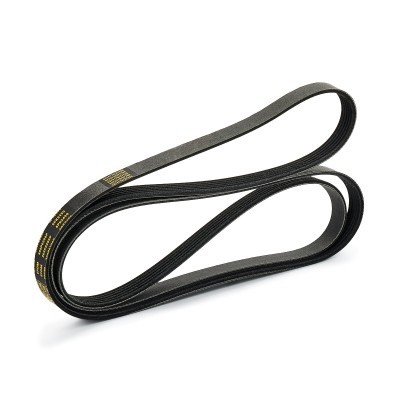 V-Ribbed Belt RIDEX 305P0206P 305P0206P - photo 3
