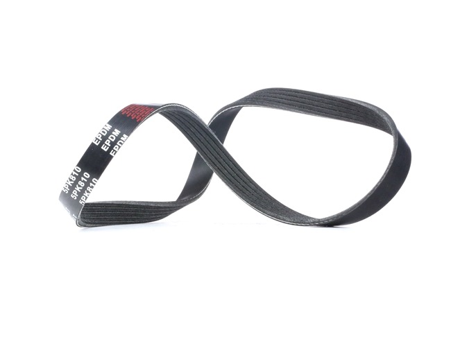 V-Ribbed Belt RIDEX 305P0024 305P0024 - photo 1