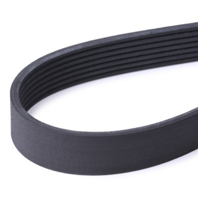 V-Ribbed Belt RIDEX 305P0444 305P0444 - photo 4