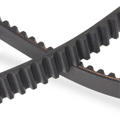 Timing Belt RIDEX 306T0040P 306T0040P - photo 5