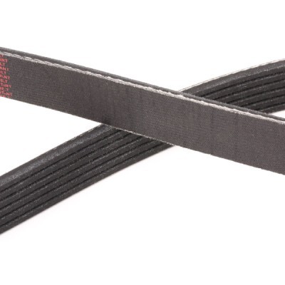 V-Ribbed Belt RIDEX 305P0224P 305P0224P - photo 5