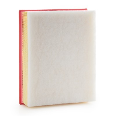 Air Filter RIDEX 8A1640 8A1640 - photo 4