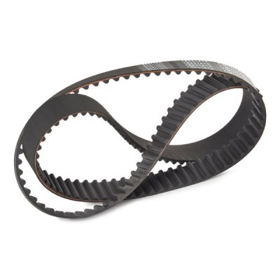 Timing Belt RIDEX 306T0129P 306T0129P - photo 3