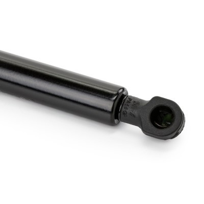Bonnet  Gas Spring RIDEX 514G0108 514G0108 - photo 6