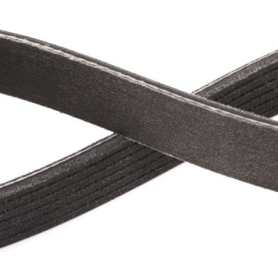 V-Ribbed Belt RIDEX 305P0194P 305P0194P - photo 5