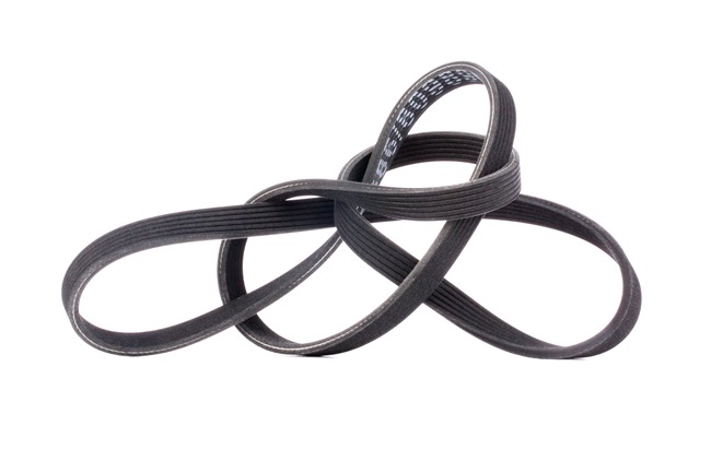 V-Ribbed Belt RIDEX 305P0222 305P0222 - photo 1
