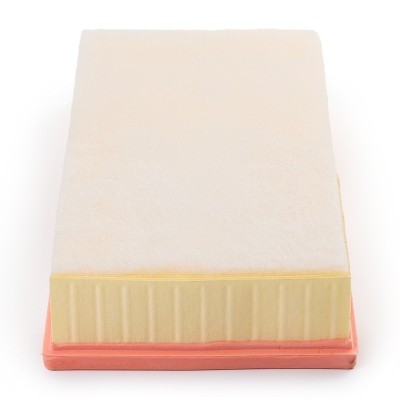 Air Filter RIDEX 8A1613P 8A1613P - photo 6